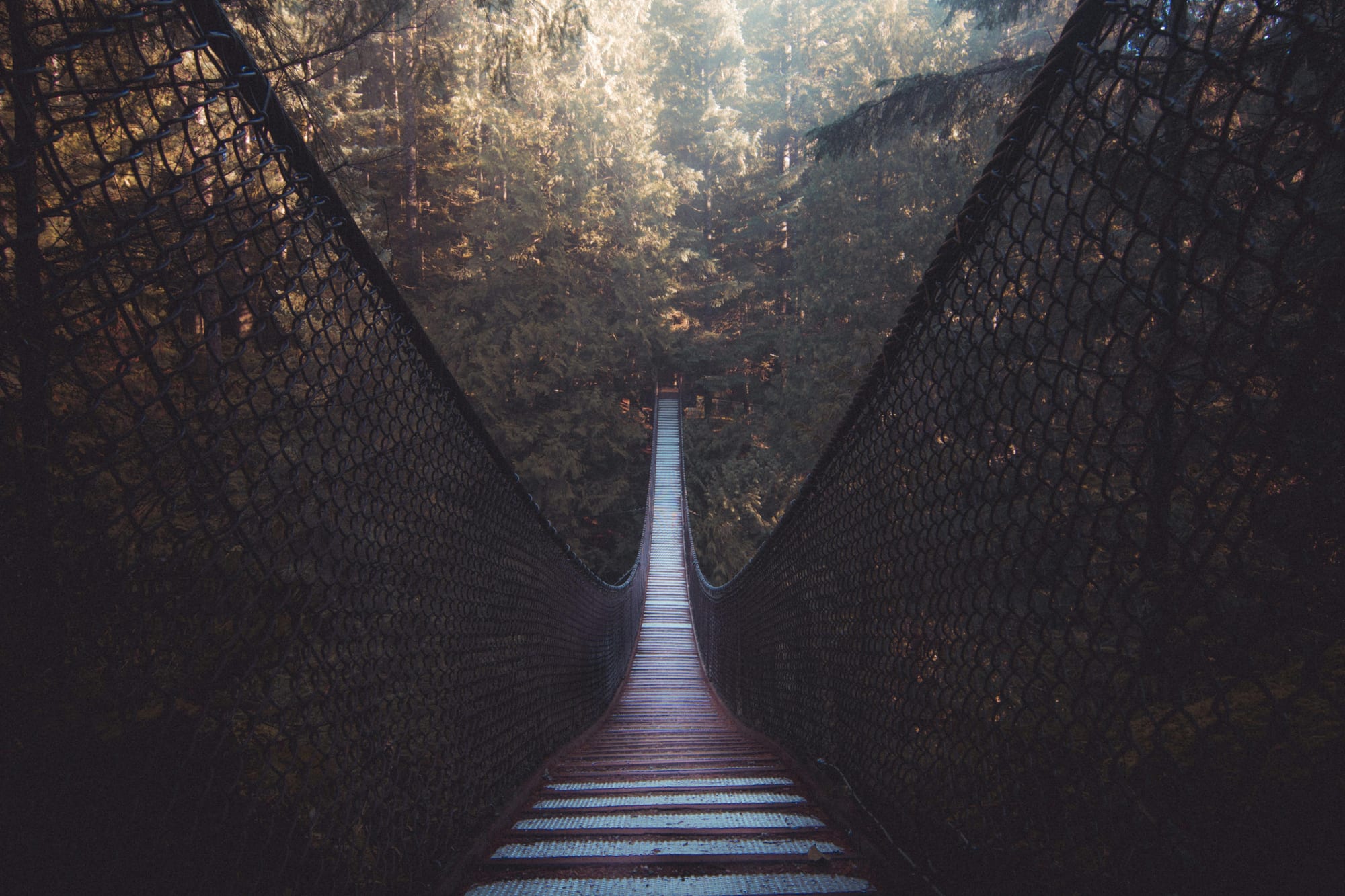 Capilano Suspension Bridge — canyon crossing through evergreens